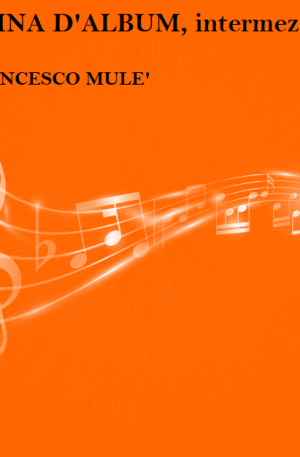 PAGINA D'ALBUM