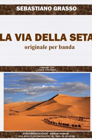 LA VIA DELLA SETA