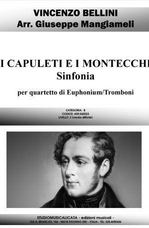 I CAPULETI E I MONTECCHI