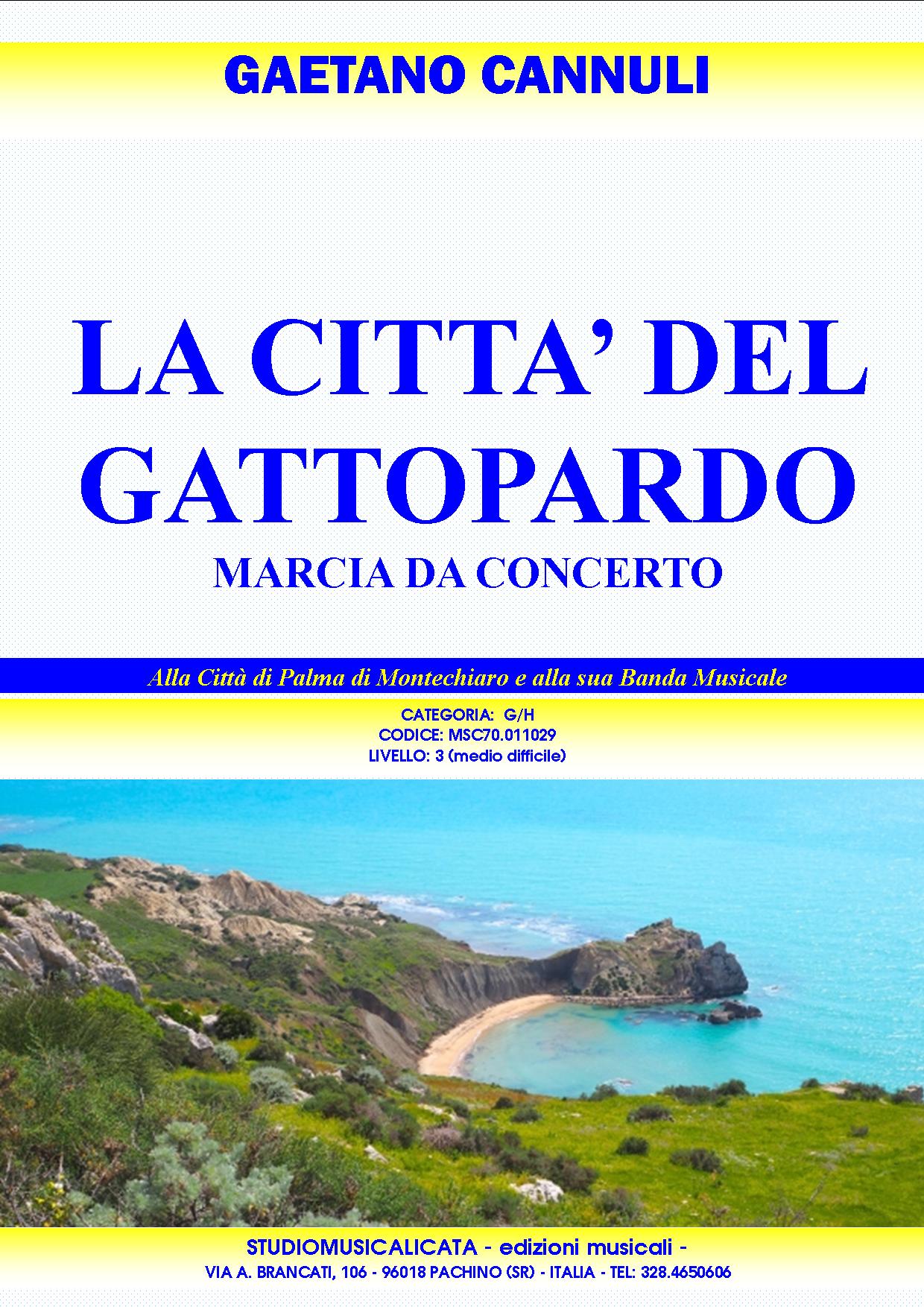 LA CITTA' DEL GATTOPARDO